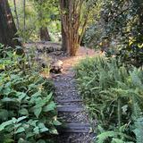 Golden Gate Park