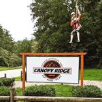 Canopy Ridge Farm