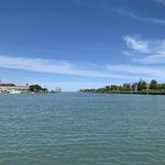 Harborside Common Grounds