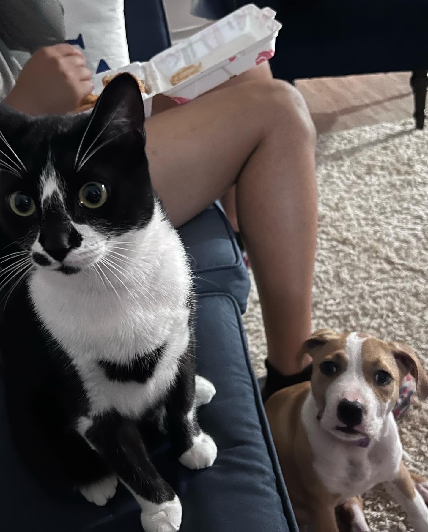 Our babies!