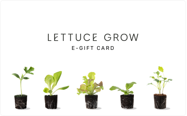 Lettuce Grow E-Gift Card
