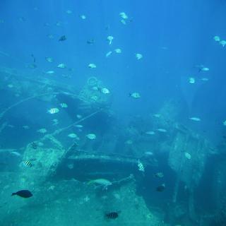 Snorkel Adventure for 2 - Aruba