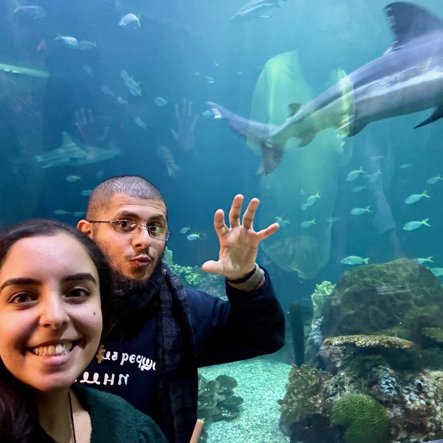 Our actual first date at the Shedd
