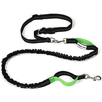 Hands-free leash