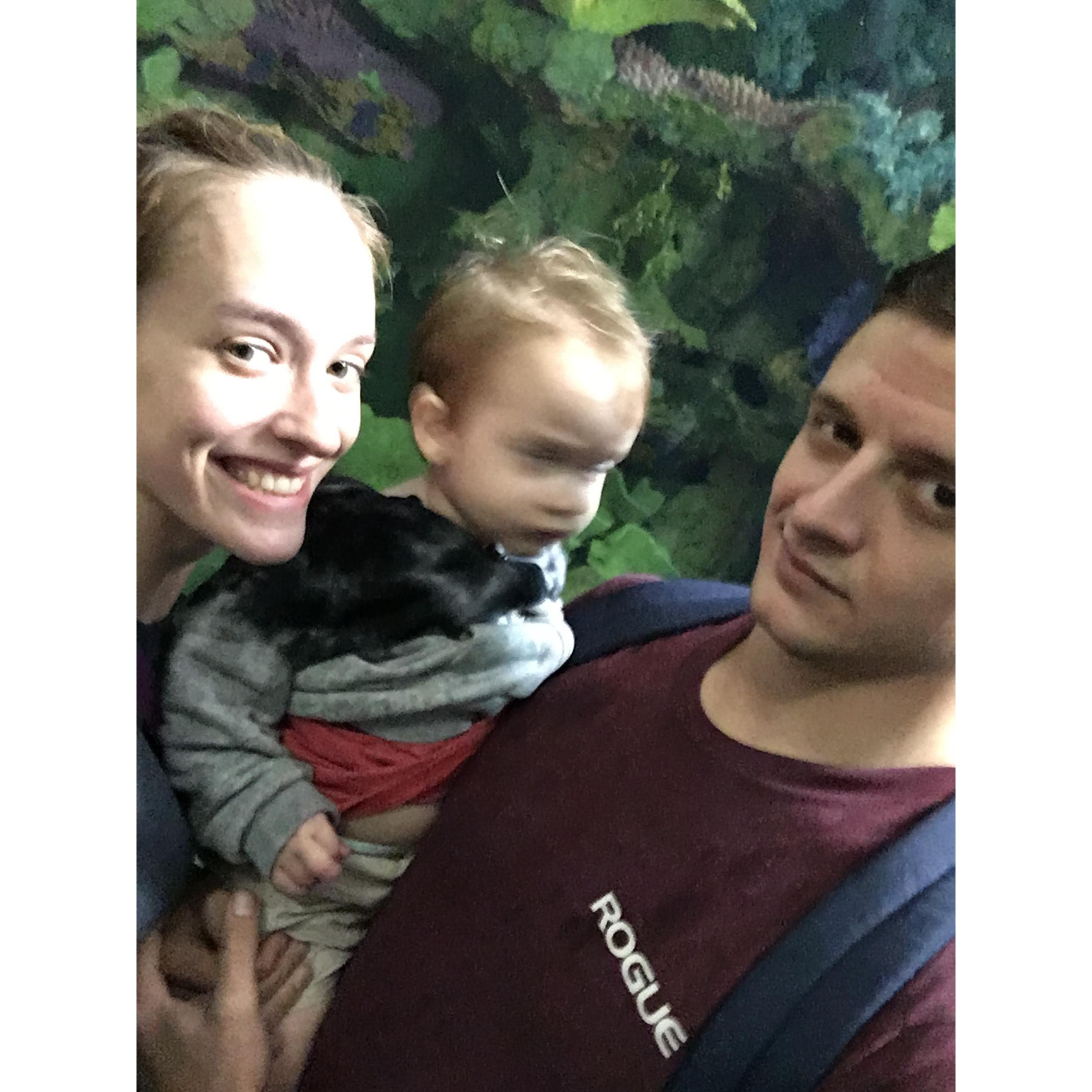 Excuse the Jameson blur. When we took him to SeaWorld for the first time.