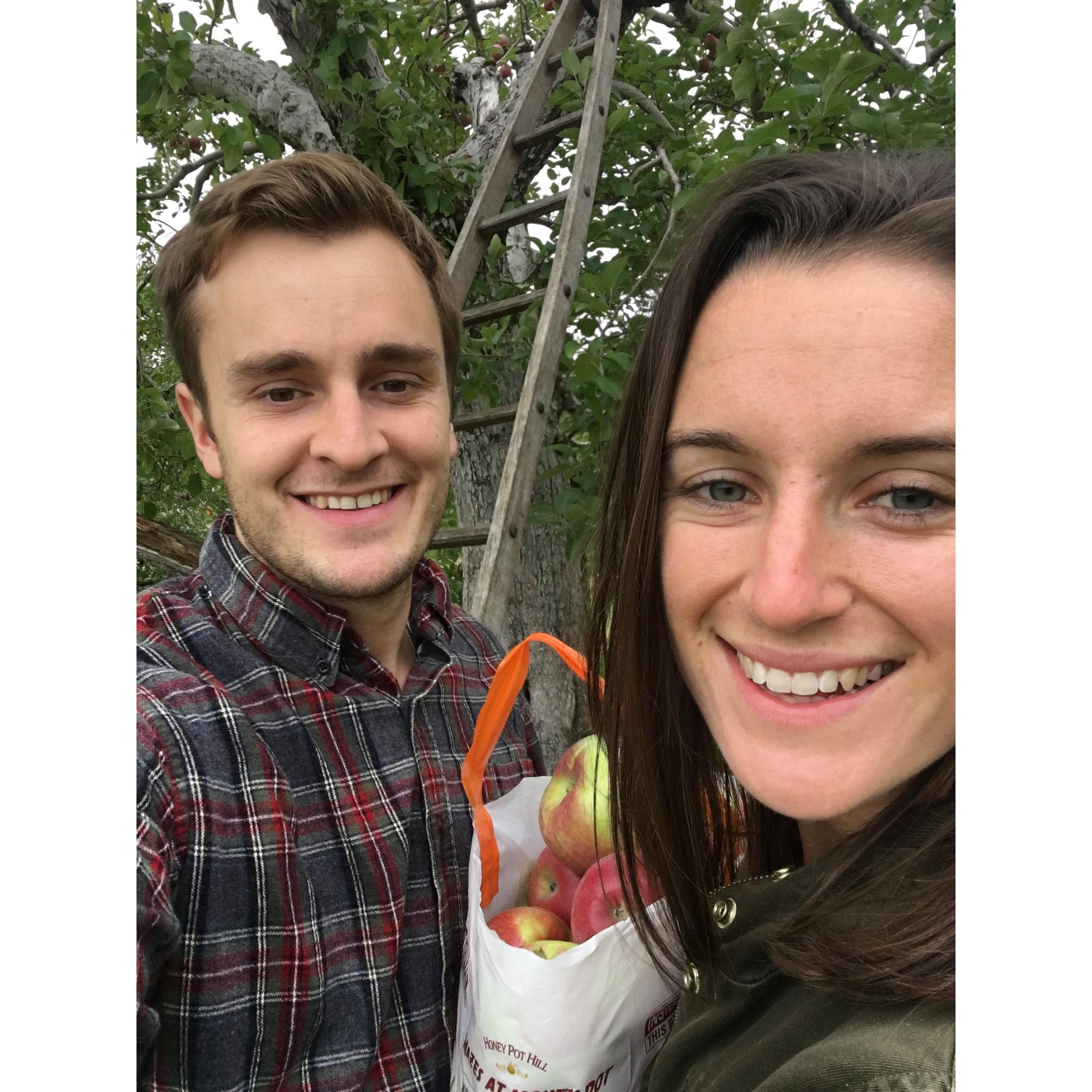 Apple Picking, October 2018