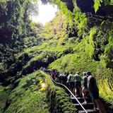 Algar do Carvão