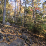 Winslow State Park