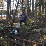 Wells Mills County Park