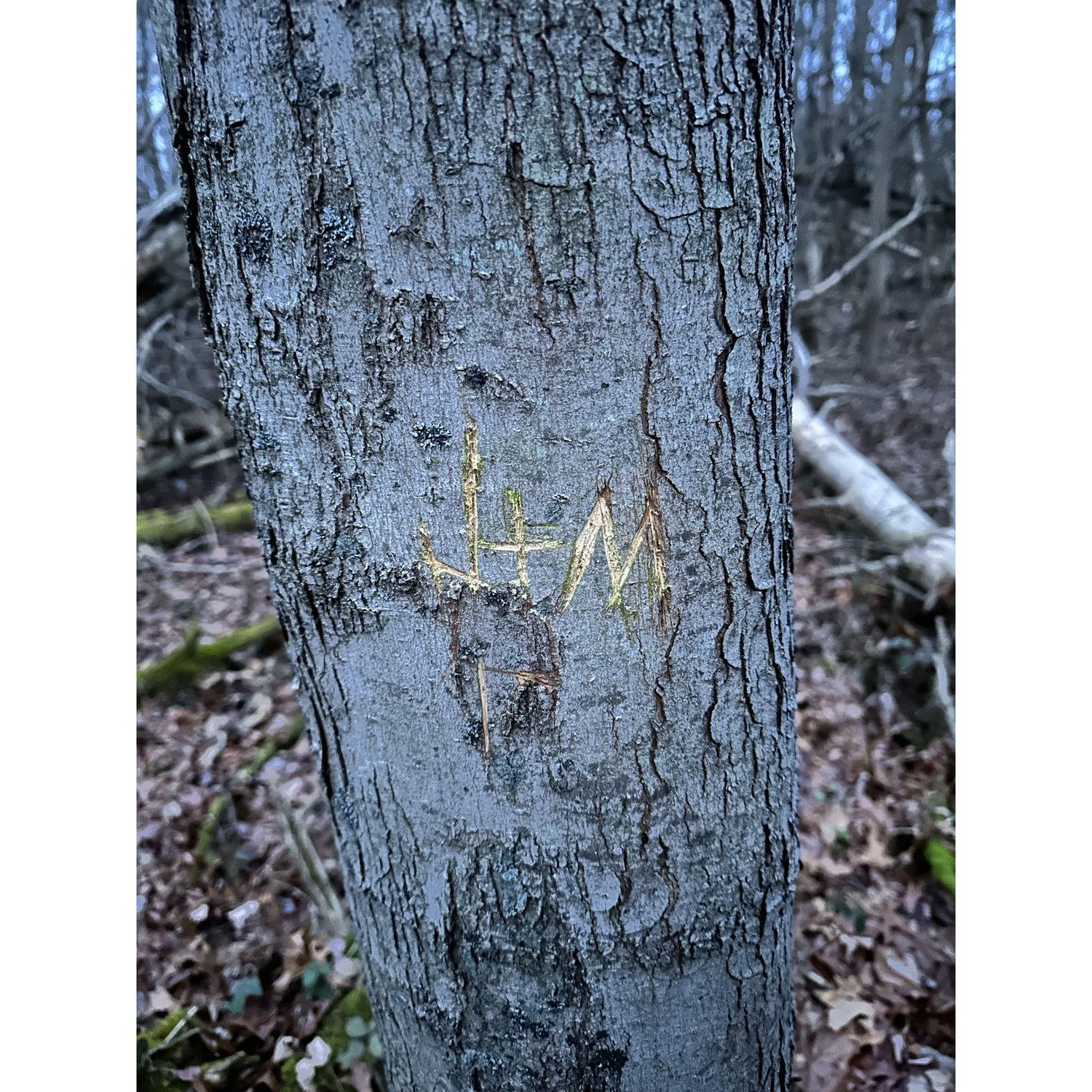 J + M