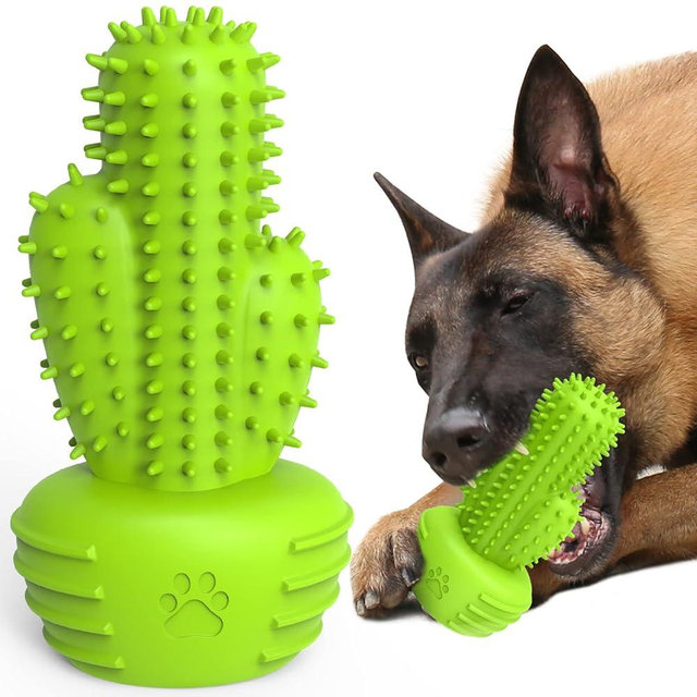 Pamlulu Dog Chew Toys Dog Toothbrush Stick Teeth Cleaning Brush Dental for Small Medium Large Dog, Rubber Dog Squeaky Toys for Aggressive Chewers Cactus Tough Toys