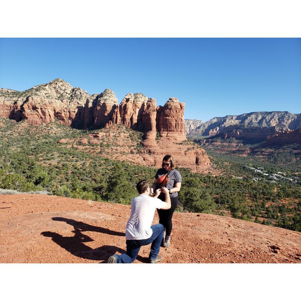 "Hey, Elizabeth, will you marry me?"