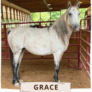Peace ranch donation