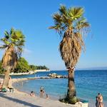 Beach Ježinac