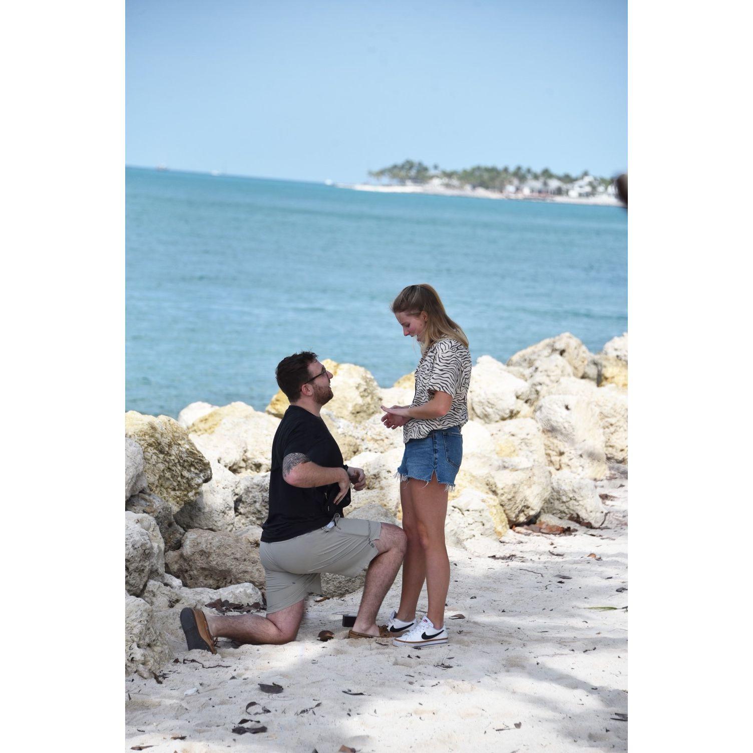 The proposal! Jacob totally surprised me!