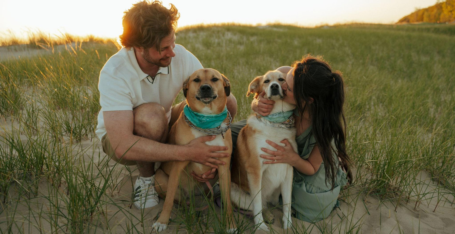 The Wedding Website of Alyson Trapp and Nicholas Rego