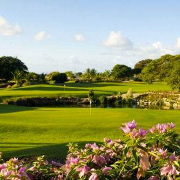 18 Holes of Golf in Barbados
