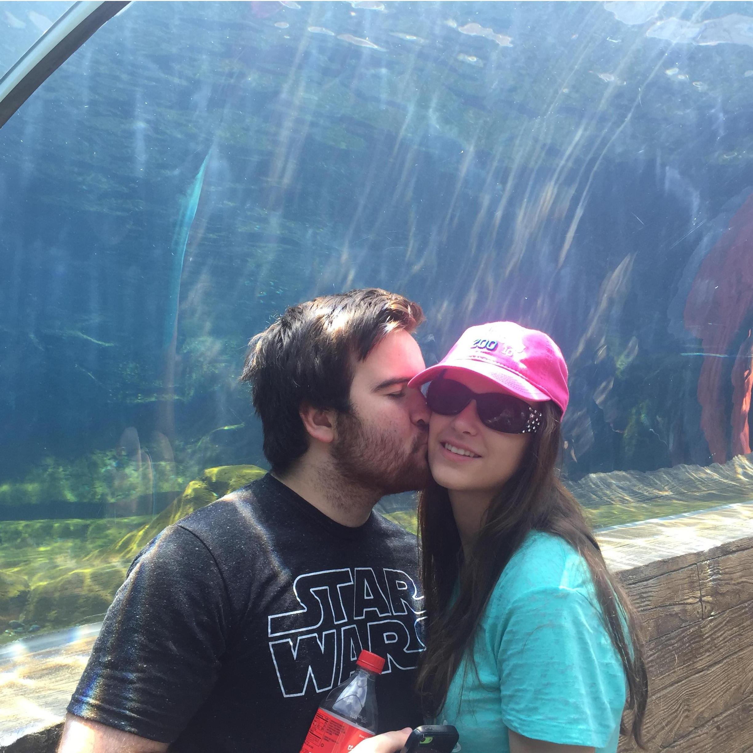 St. Louis zoo 2016