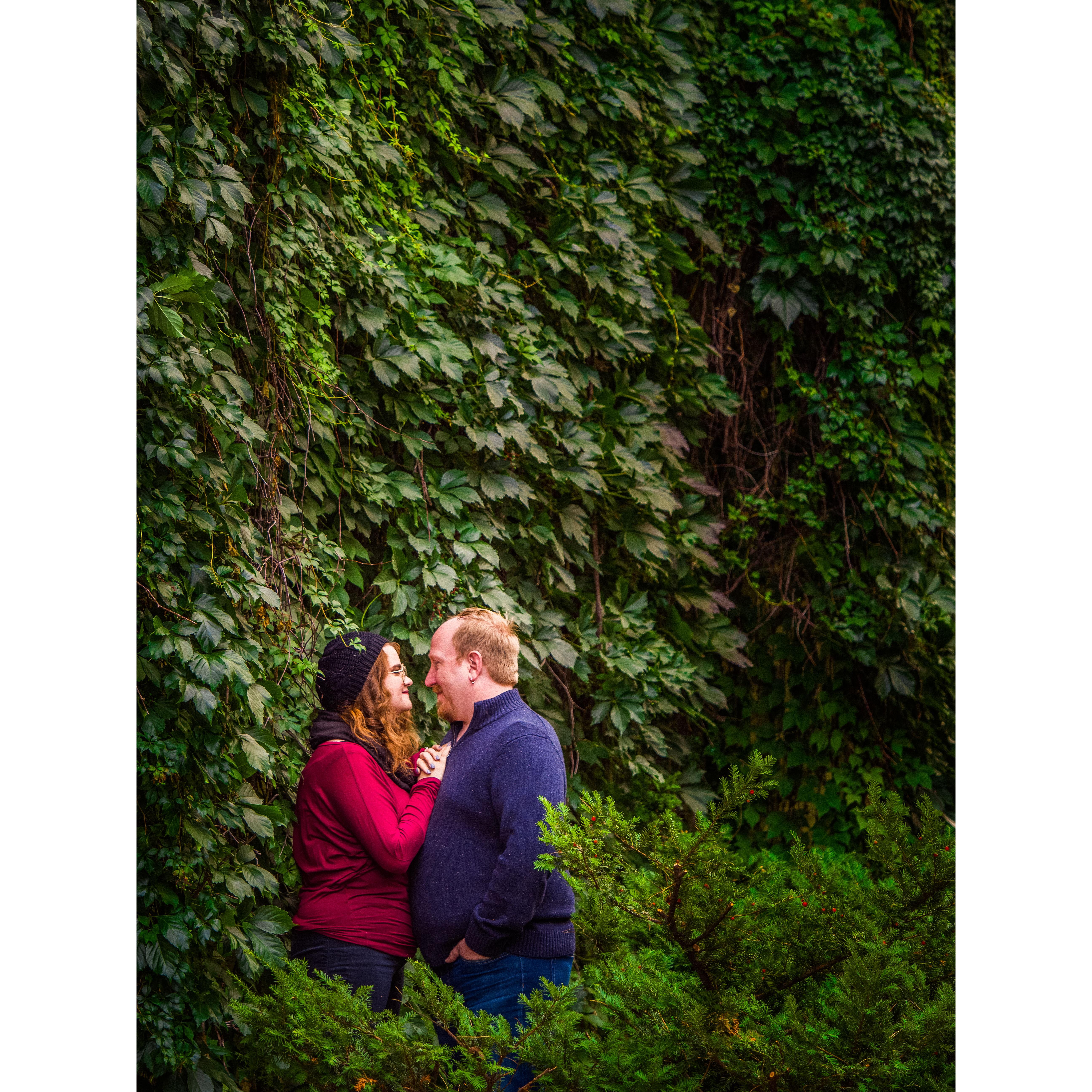 Photo Credit: Shawn Morrissey Photography