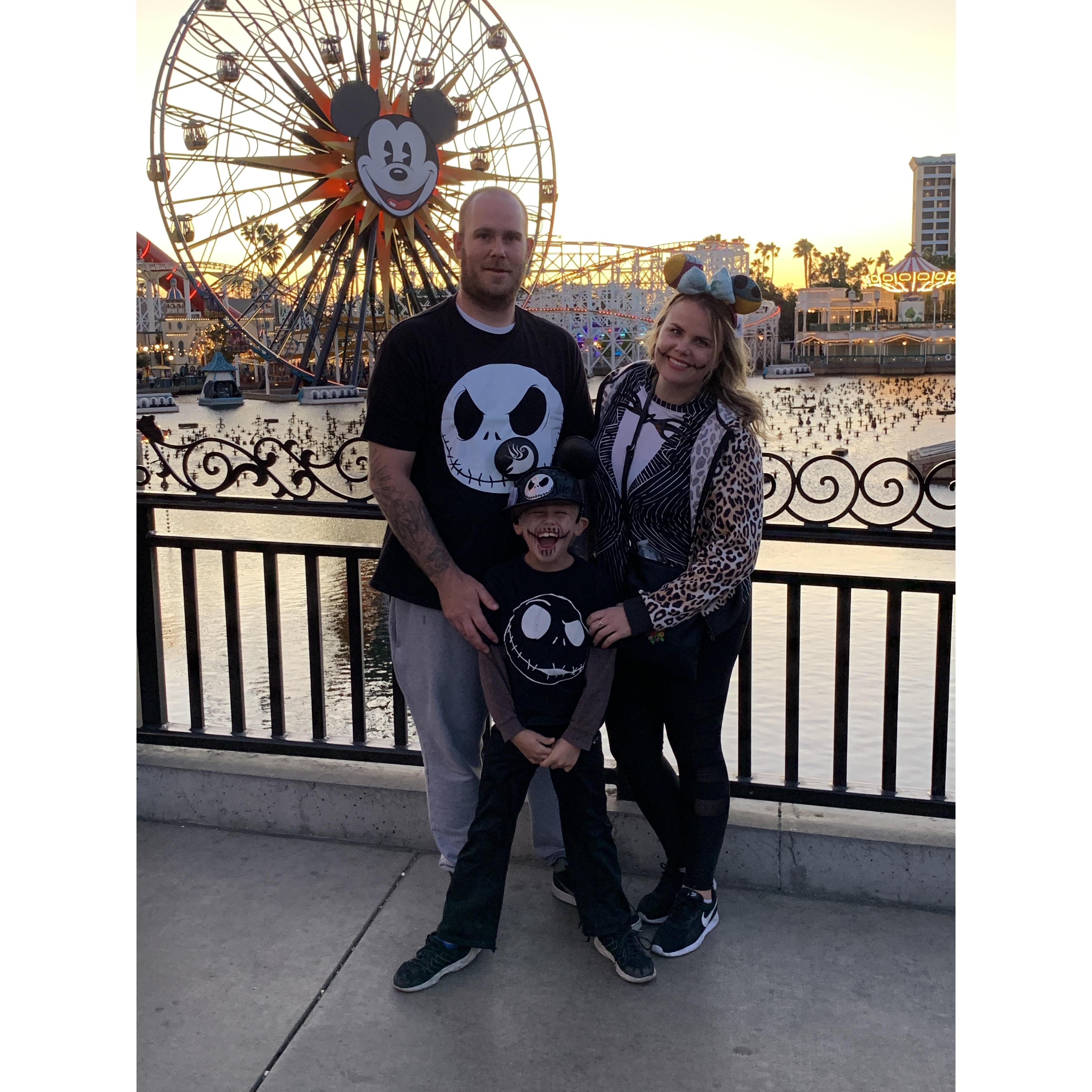 Disneyland in theme