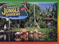 Sarasota Jungle Gardens