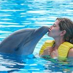 Marineland Dolphin Adventure
