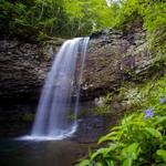 Cloudland Canyon State Park