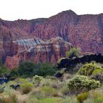 Snow Canyon