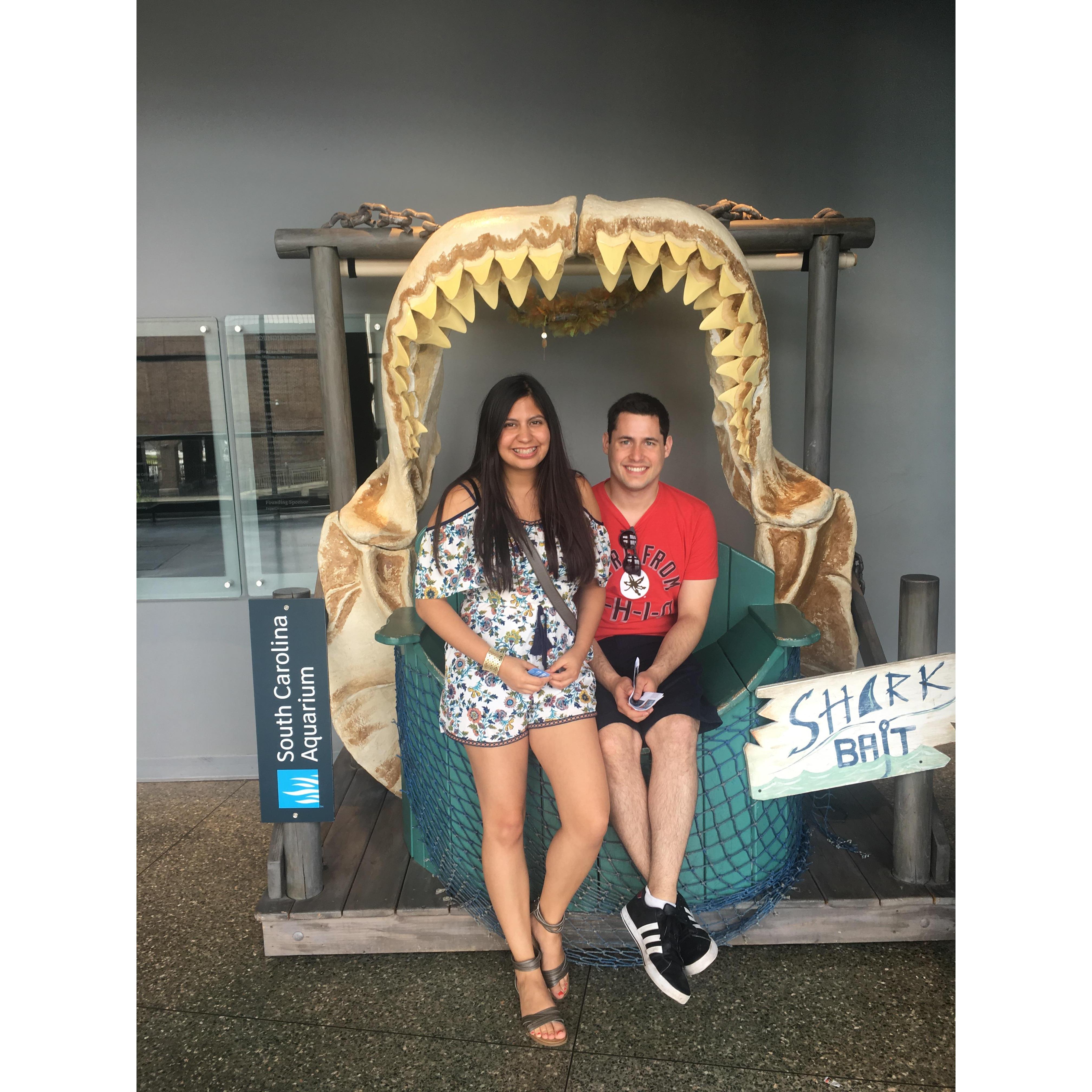 Charleston Aquarium