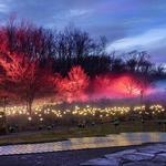 Pittsburgh Botanic Garden