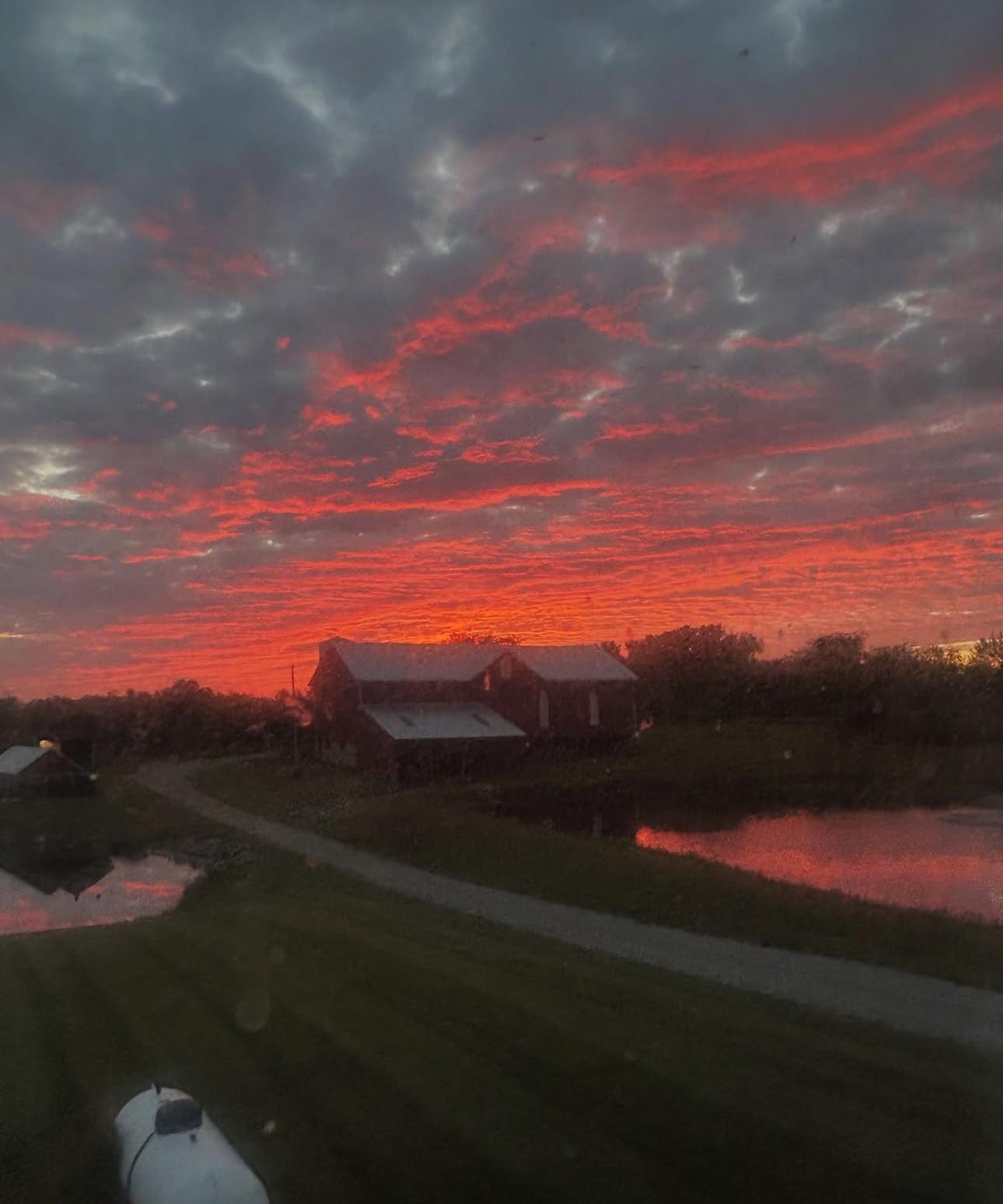 The Wedding Website of Emma Webb and John Smith