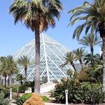 Moody Gardens