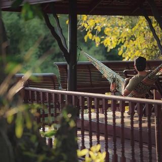 Double Parachute Printed Hammock