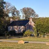 Zephaniah Farm Vineyard
