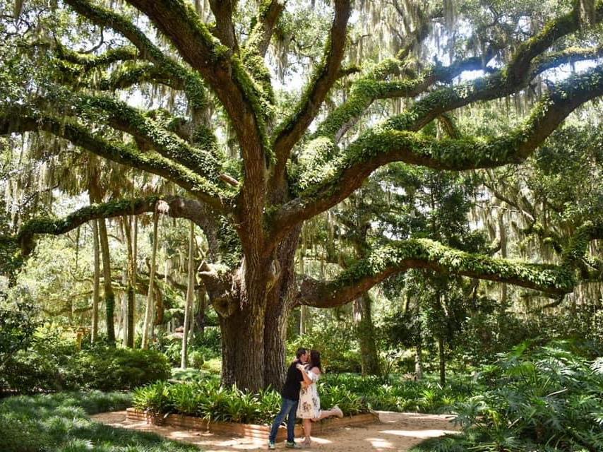 The Wedding Website of Lisa Hall and Cody Hagerty