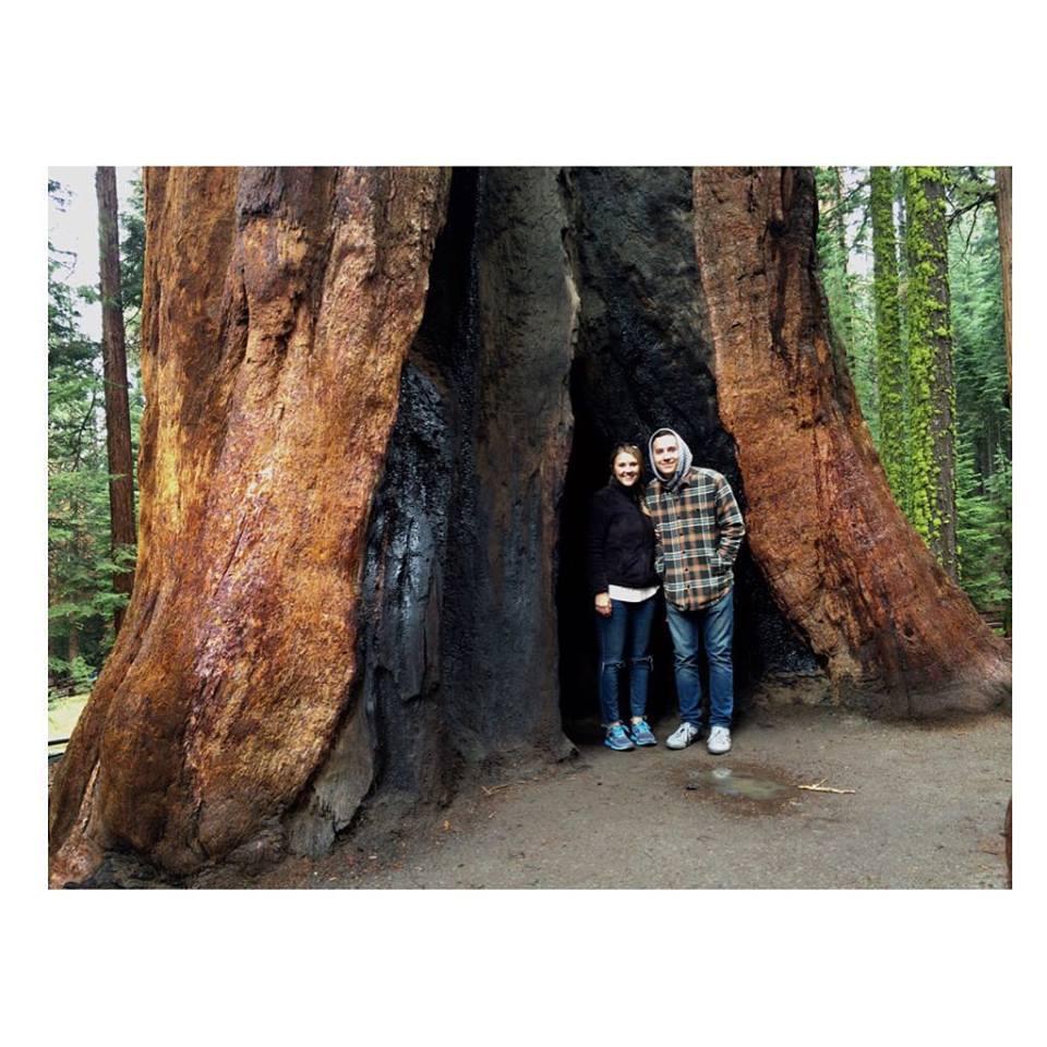 Impromptu trip to Sequoia National Park!