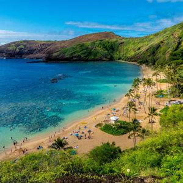Hawaii Honeymoon Fund
