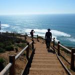 Torrey Pines