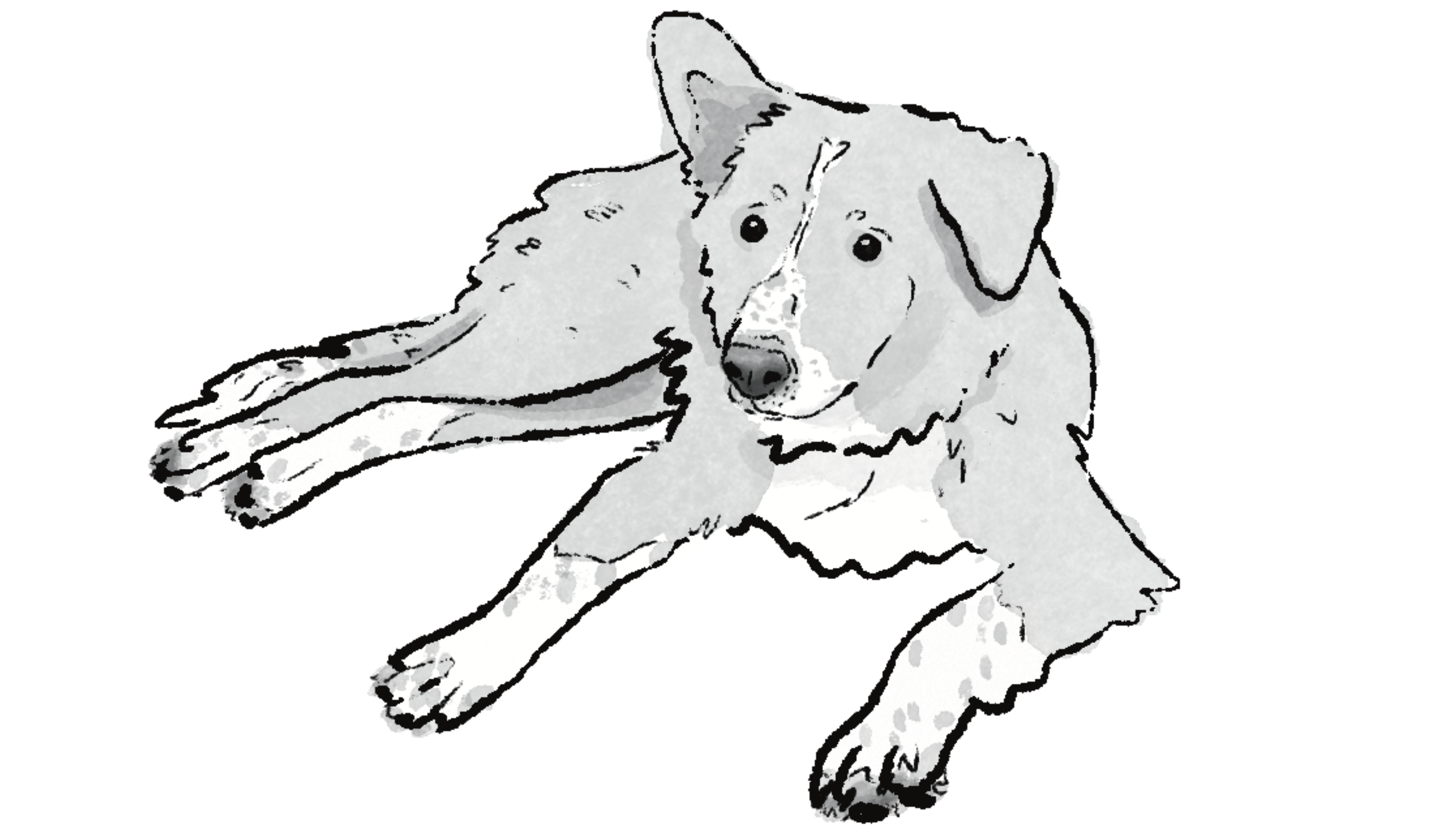 Footer image