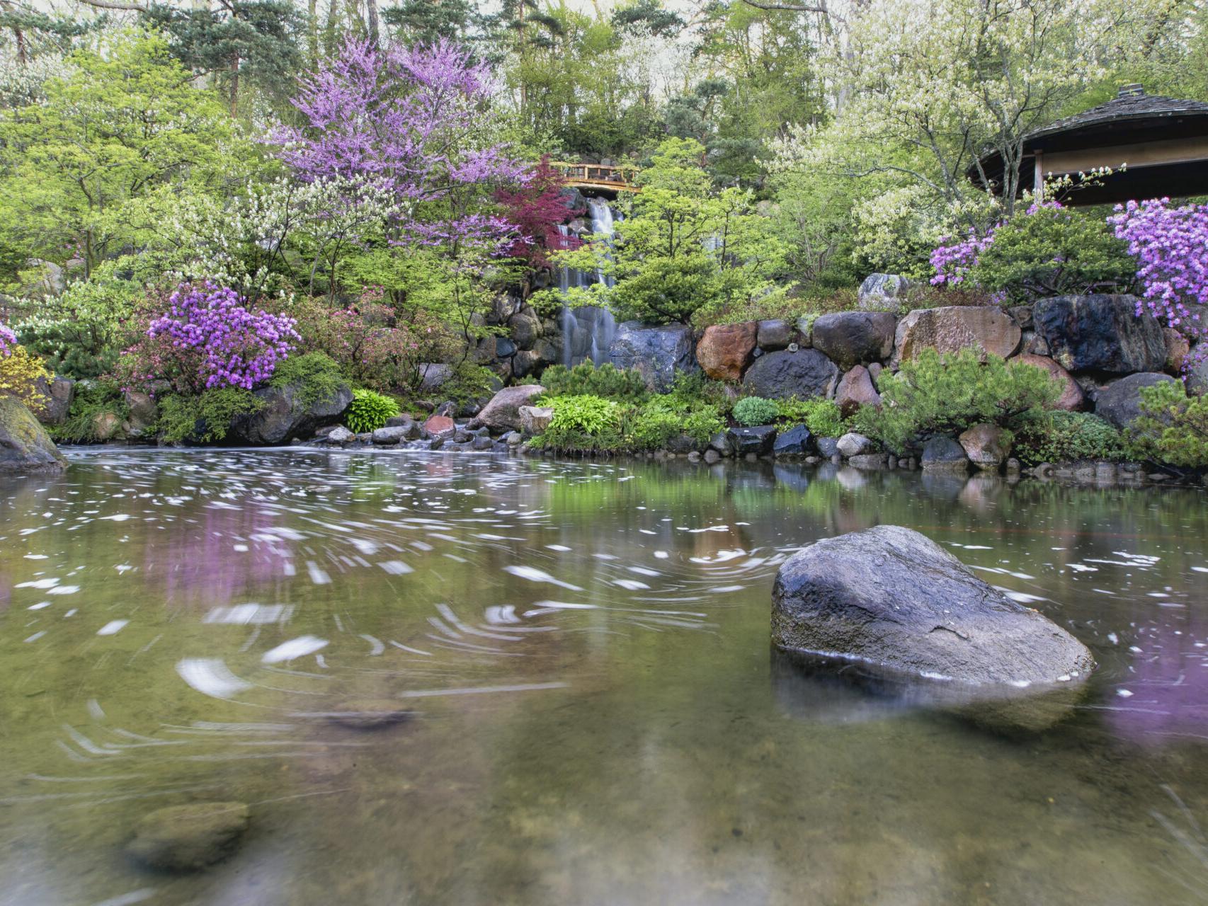 The Wedding Website of Emily Aron and Benjamin Sopkin