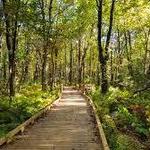Beaver Lake Nature Center