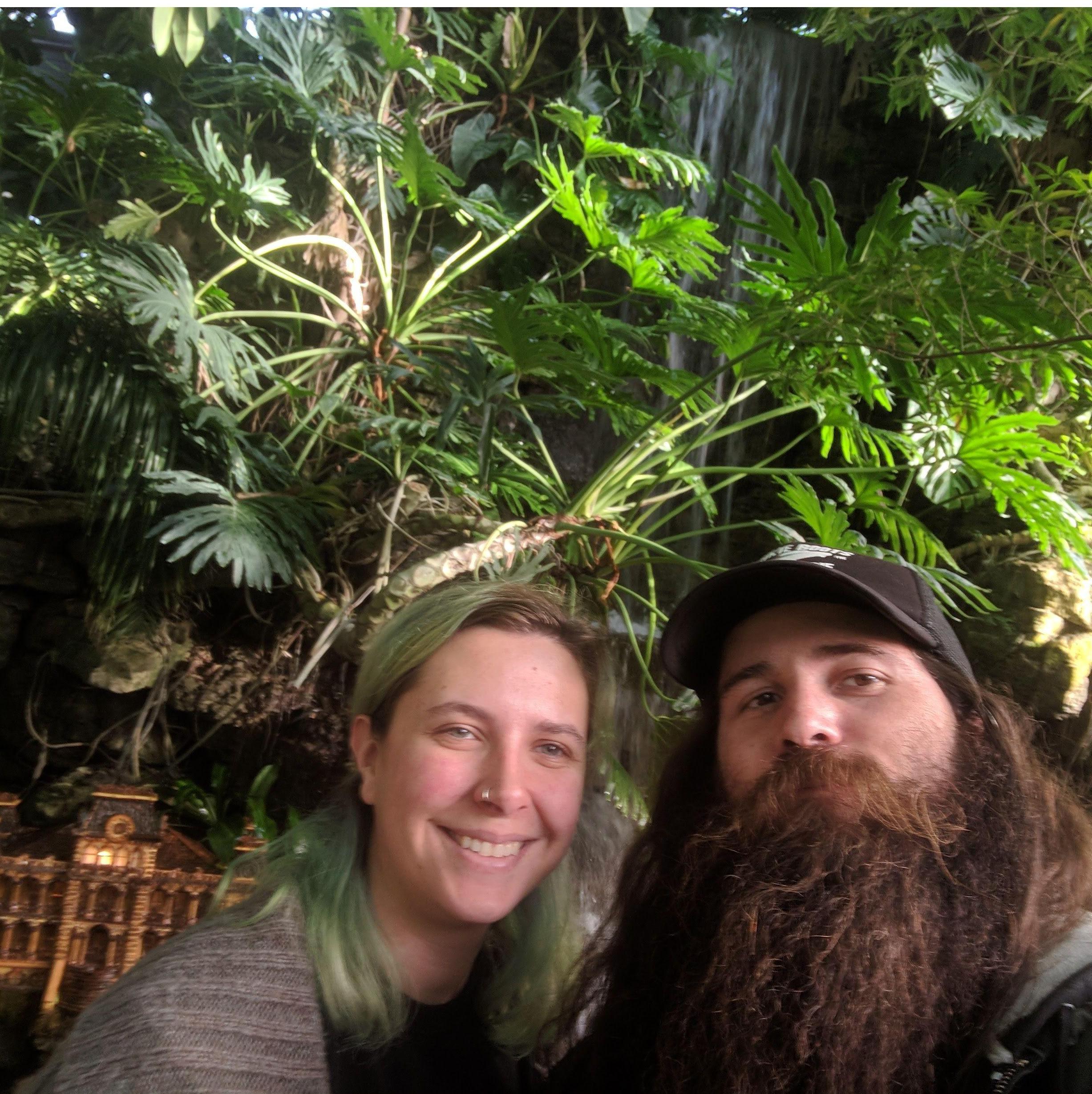 We love a conservatory. It's like walking around in a giant terrarium.