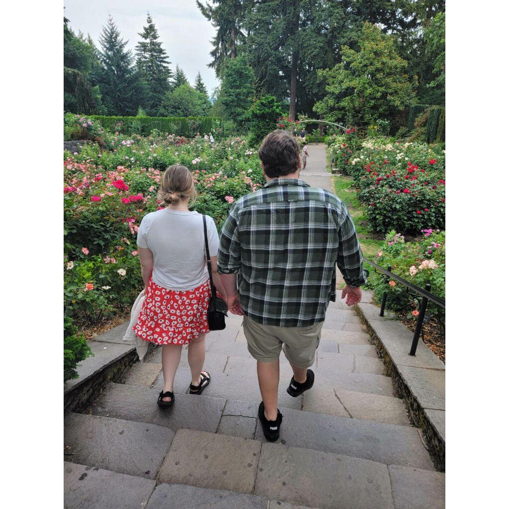 Portland rose garden