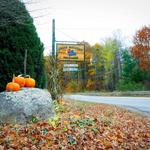 Green Mountain Orchards Inc