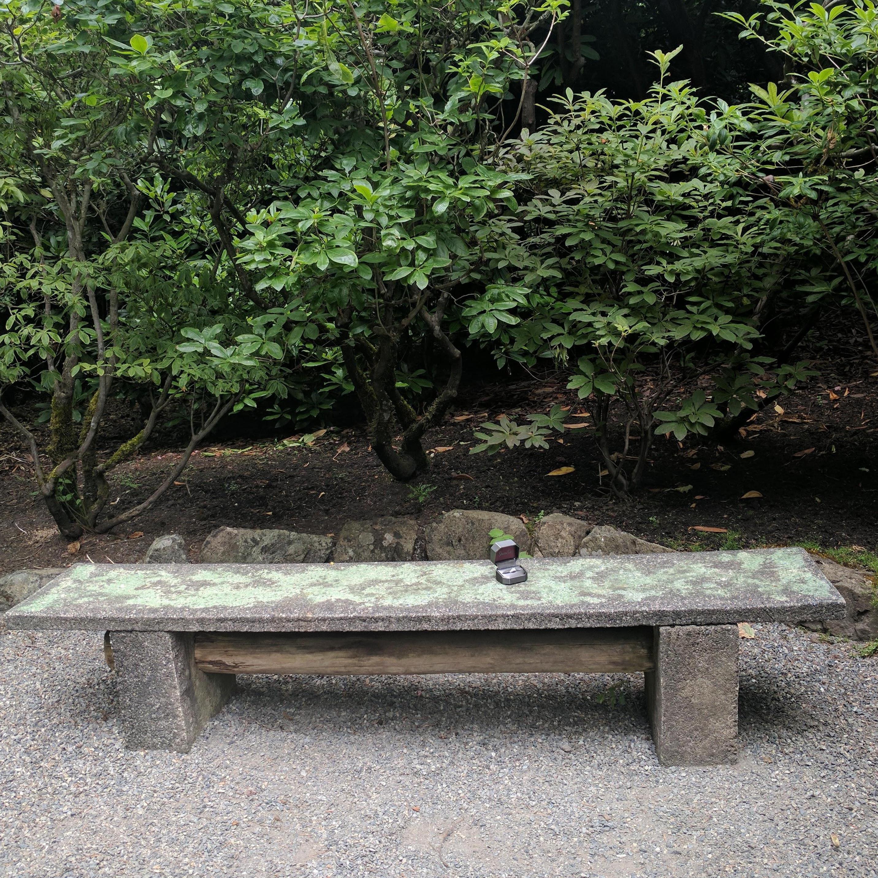 The spot where he proposed!