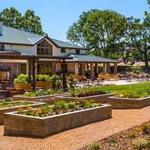 Fess Parker Winery & Vineyard