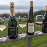Damiani Wine Cellars