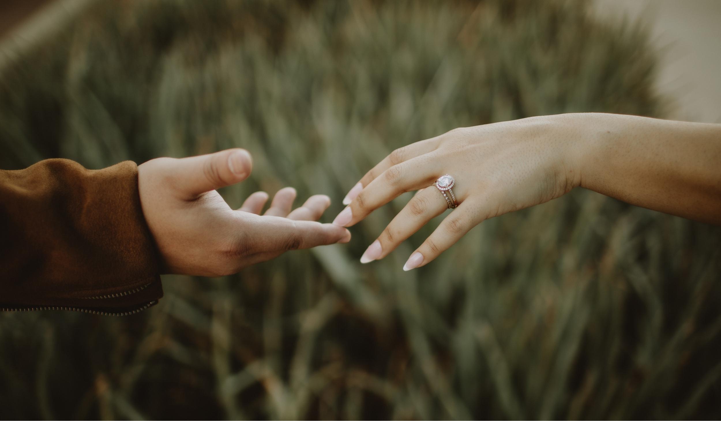 The Wedding Website of Sthefany Nobriga and Richard Schroeder