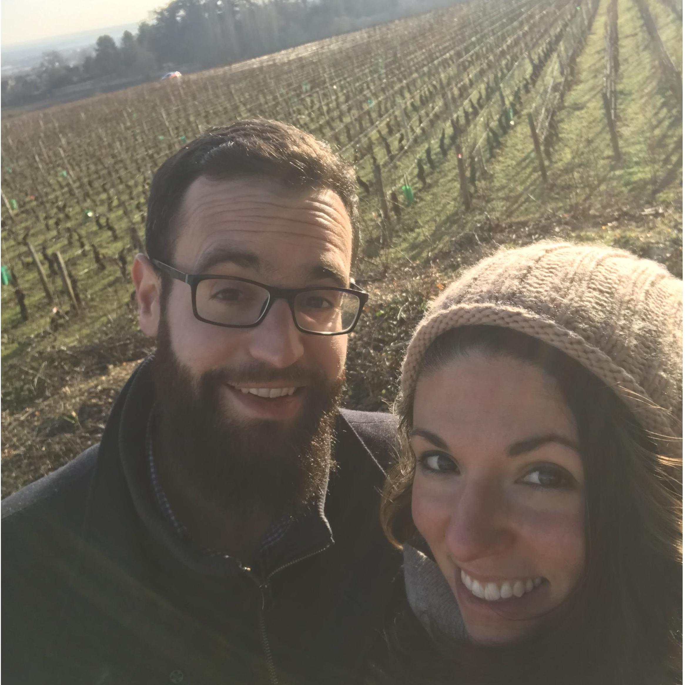 Wine tasting in Burgundy, France