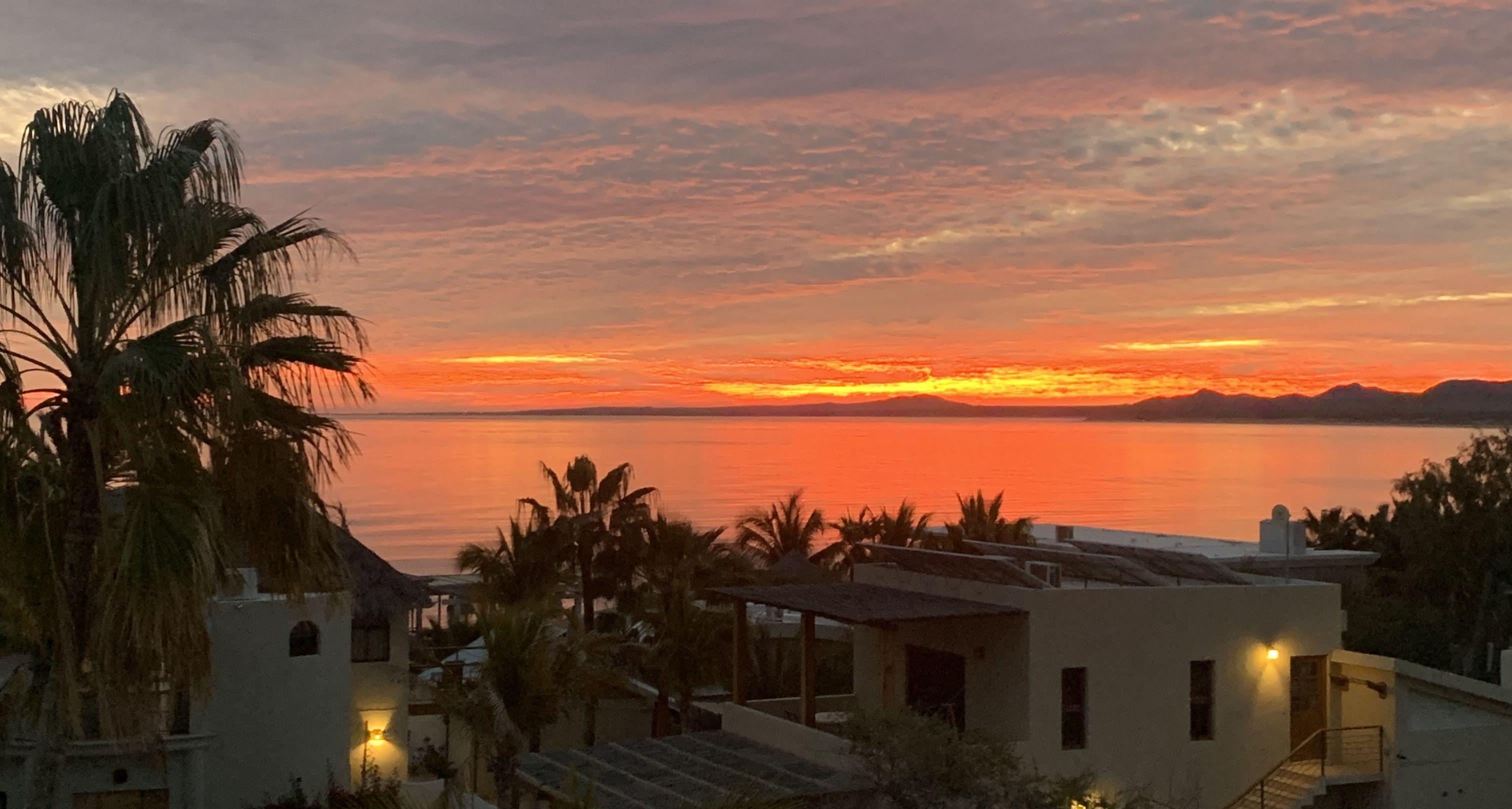 The Wedding Website of David Blankenship and Tessora-Rose Young